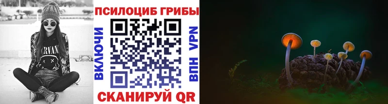 Купить где  Ртищево  Псилоцибиновые грибы ЛСД 
